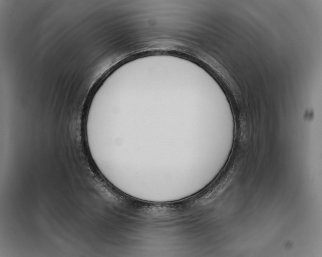 X0000101230834200807251132