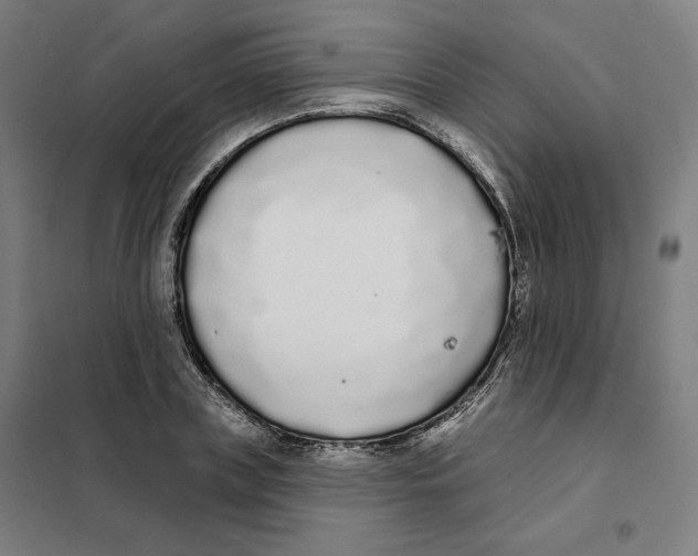 X0000101230835200807251132