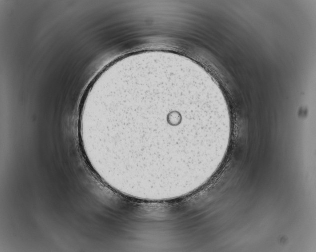 X0000101230836200807251132
