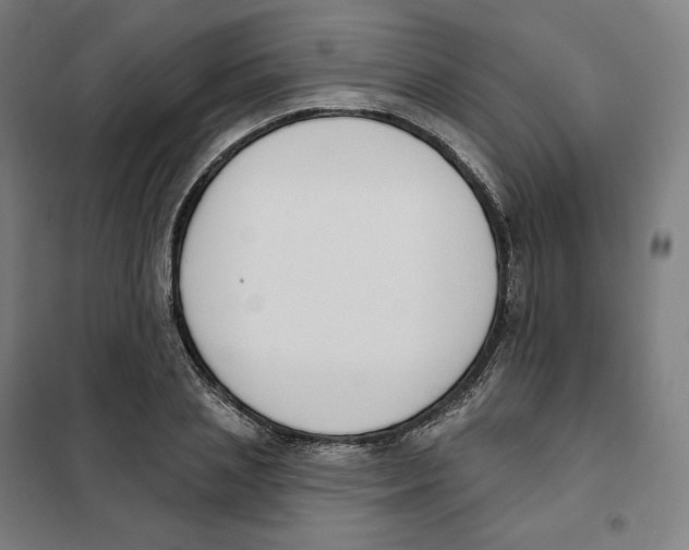 X0000101230837200807251132