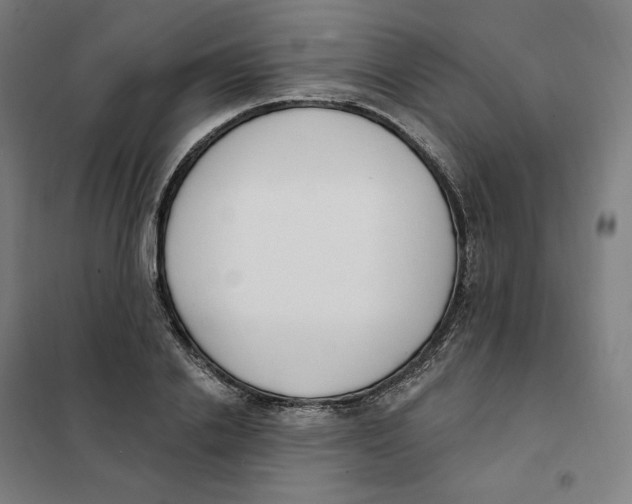 X0000101230838200807251132