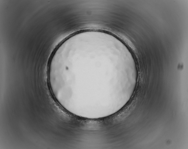 X0000101230839200807251132