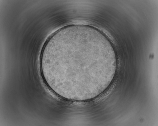 X0000101230840200807251132