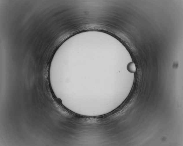 X0000101230841200807251132