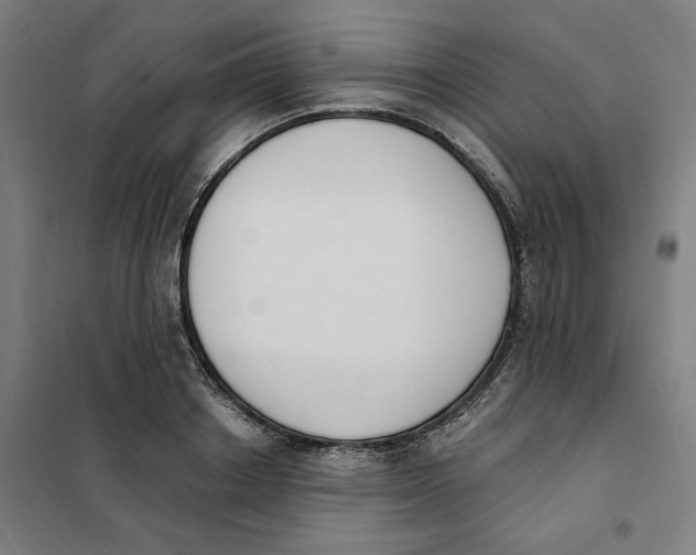 X0000101230842200807251132