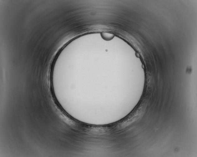 X0000101230843200807251132