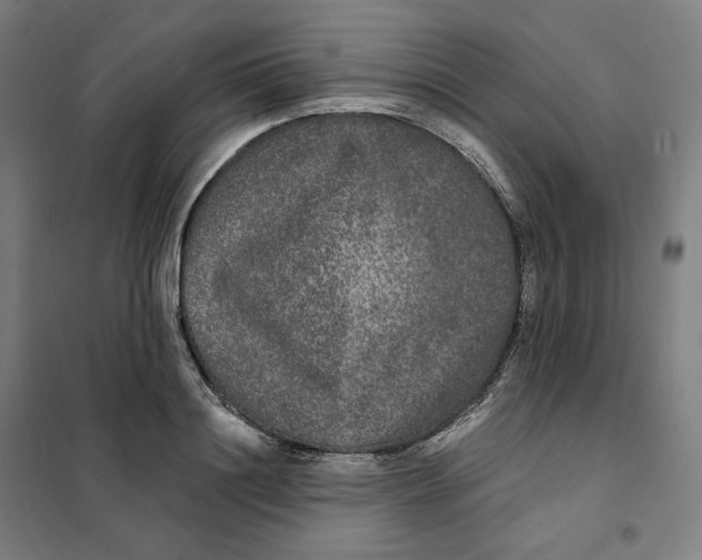 X0000101230844200807251132