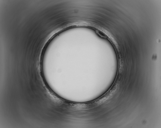 X0000101230845200807251132