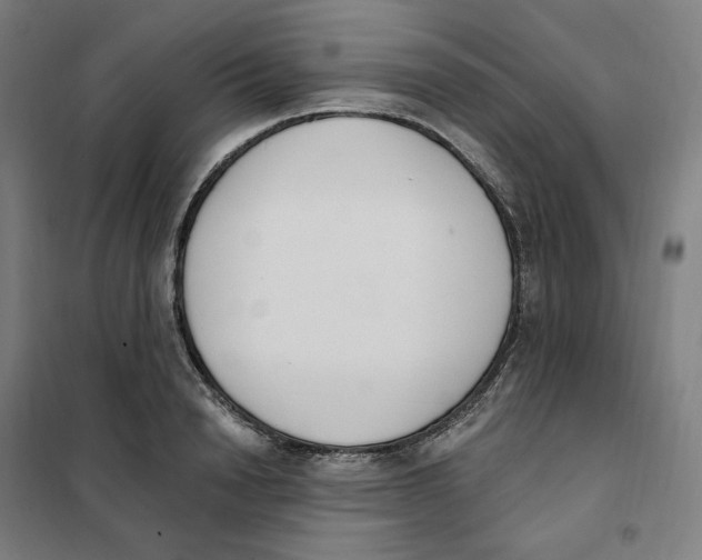X0000101230846200807251132
