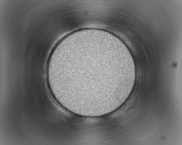 X0000101230848200807251132
