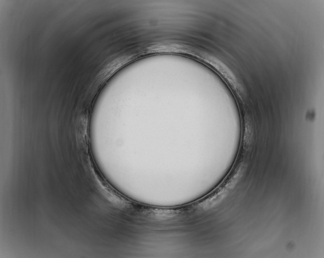 X0000101230849200807251132