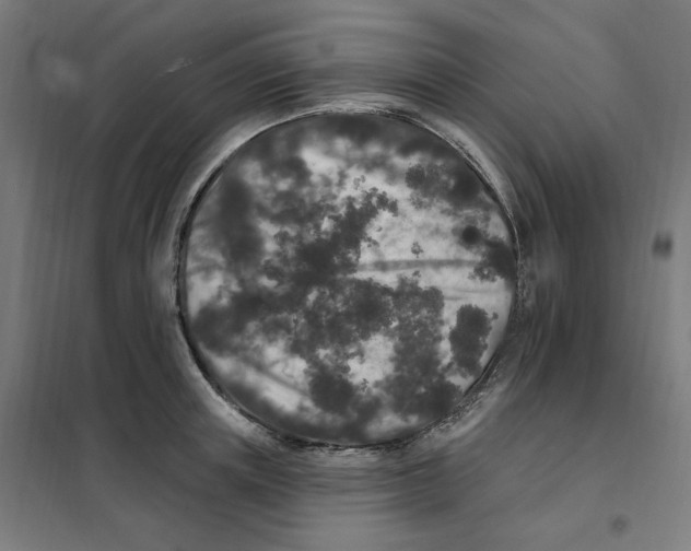 X0000101230851200807251132