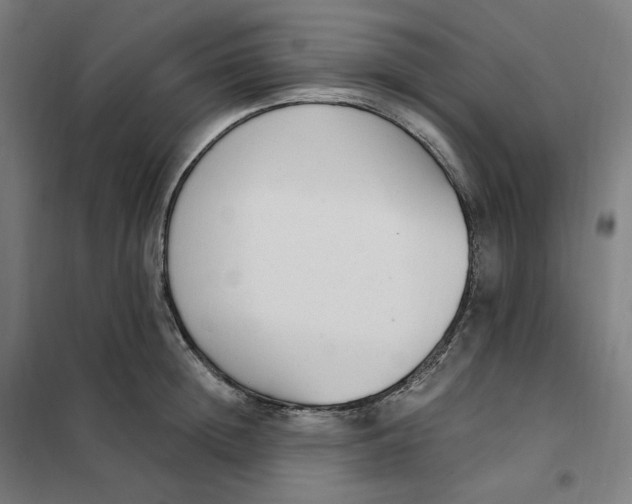 X0000101230852200807251132