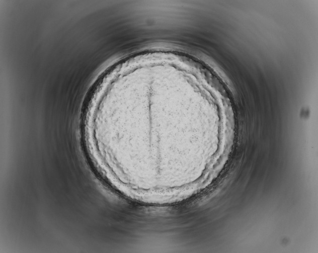 X0000101230853200807251132