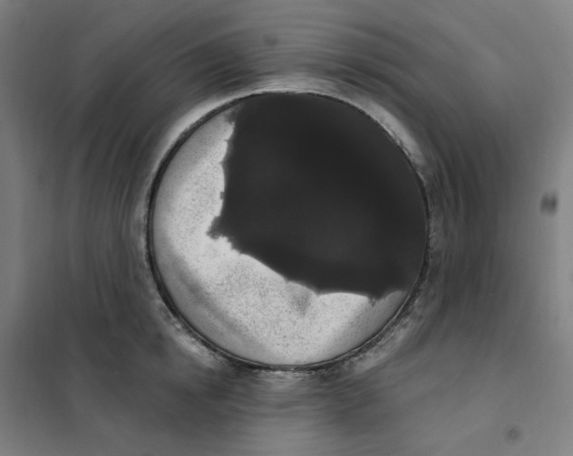 X0000101230854200807251132