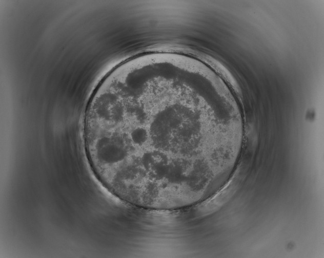 X0000101230855200807251132