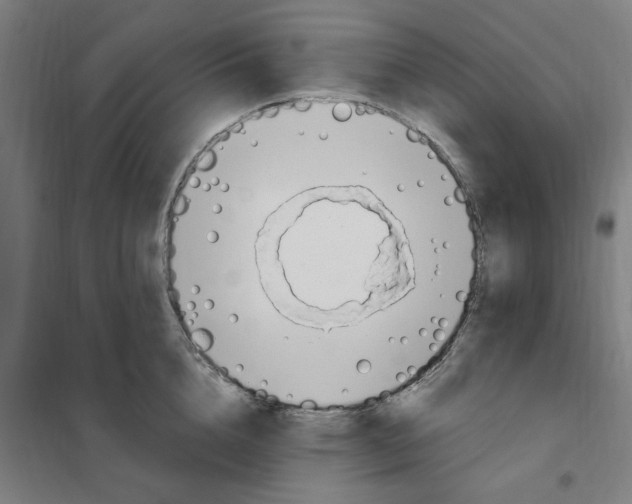 X0000101230856200807251132