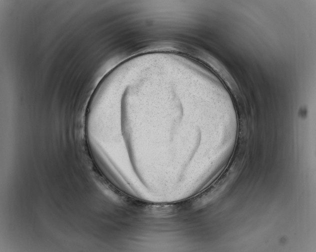 X0000101230858200807251133