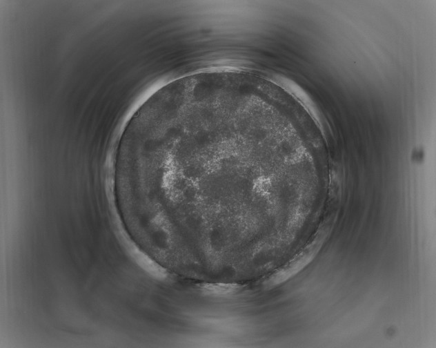 X0000101230859200807251133