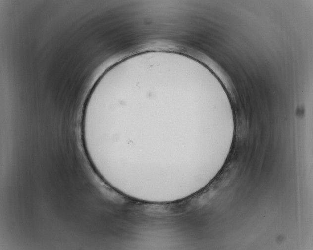 X0000101230861200807251133