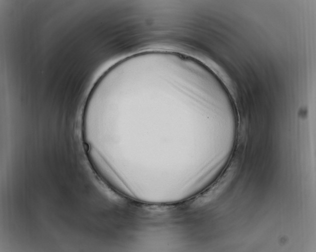X0000101230862200807251133