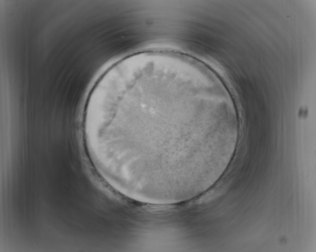 X0000101230864200807251133