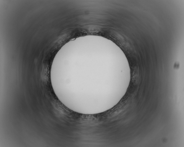 X0000101230866200807251132