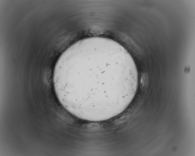 X0000101230867200807251132