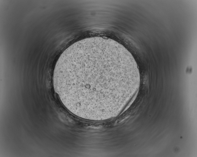 X0000101230868200807251132