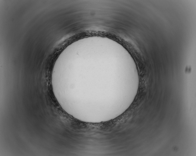 X0000101230870200807251132