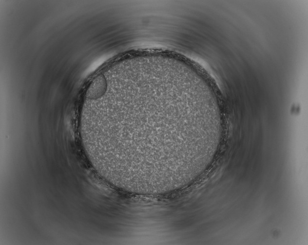 X0000101230871200807251132