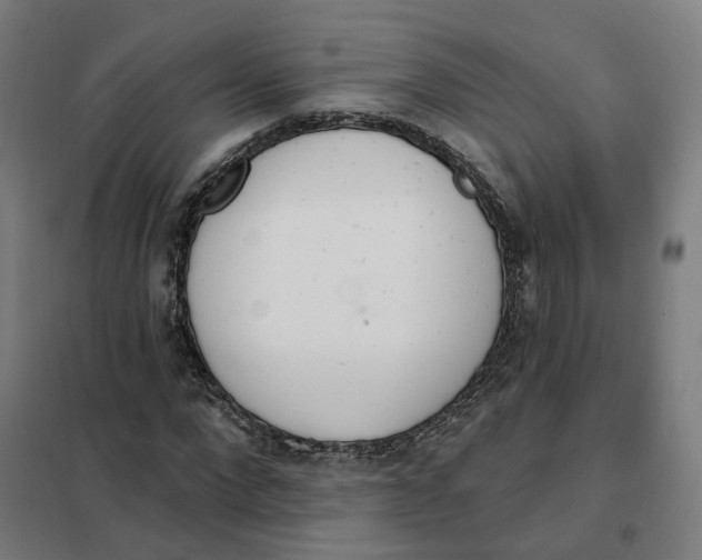X0000101230872200807251132
