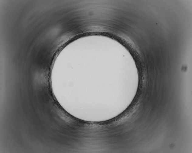 X0000101230873200807251132