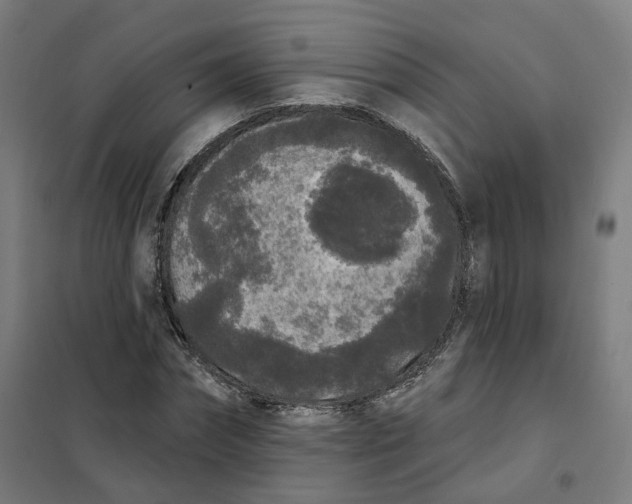 X0000101230874200807251132