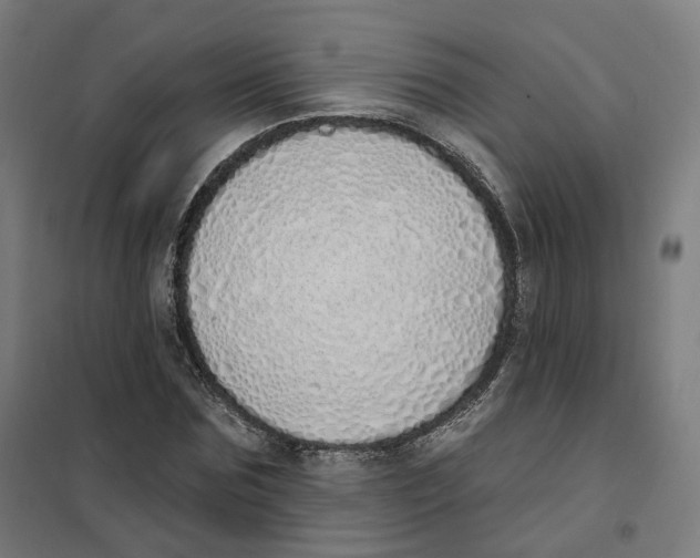 X0000101230875200807251132