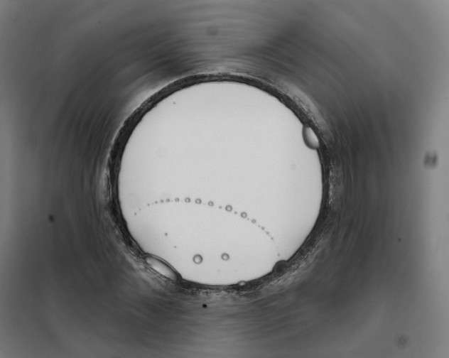 X0000101230876200807251132