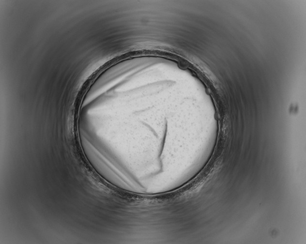 X0000101230877200807251132