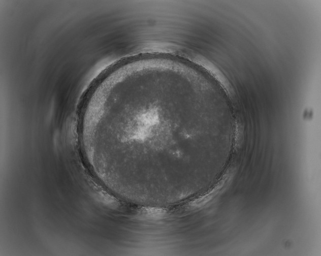 X0000101230878200807251132