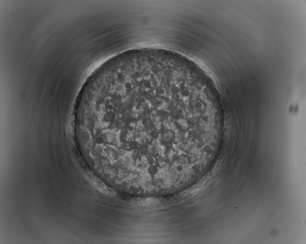 X0000101230879200807251132
