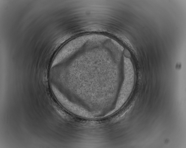 X0000101230881200807251132