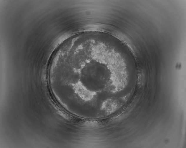 X0000101230882200807251132