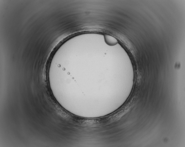 X0000101230883200807251132