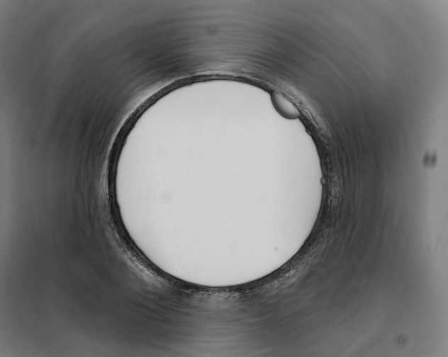 X0000101230884200807251131