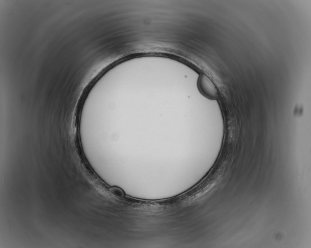 X0000101230885200807251131