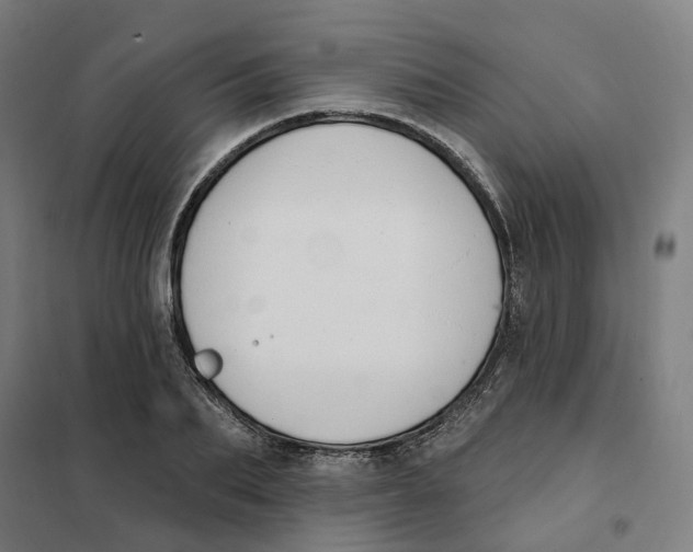 X0000101230887200807251131
