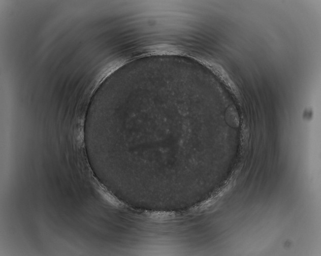 X0000101230889200807251131