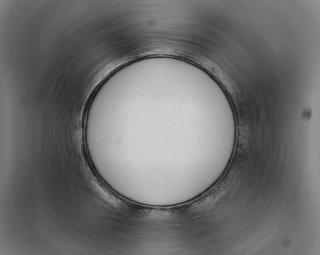 X0000101230890200807251131