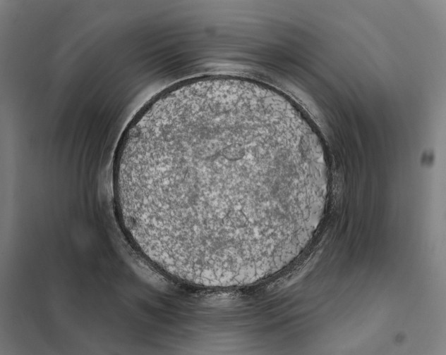 X0000101230891200807251131