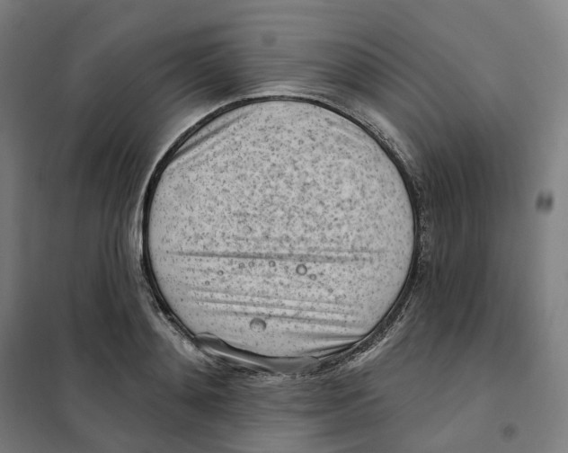 X0000101230892200807251131