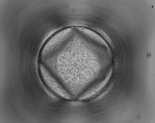 X0000101230893200807251131
